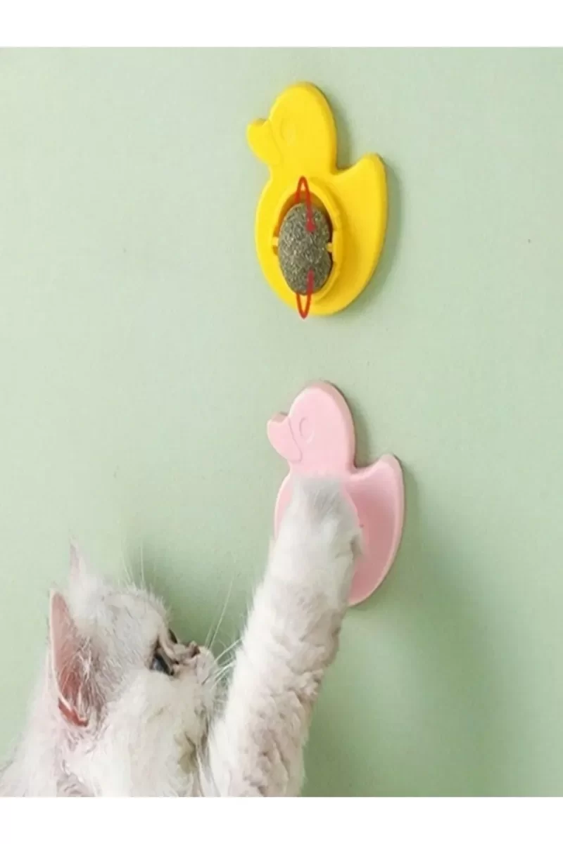 Ördek Kedi Otu Oyun Topu - Görsel 2