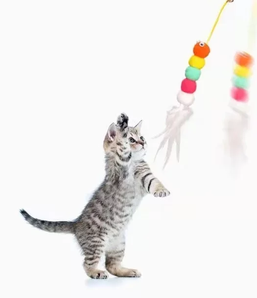 Elastik Yapışkanlı Kedi Oyun Oltası - Görsel 5