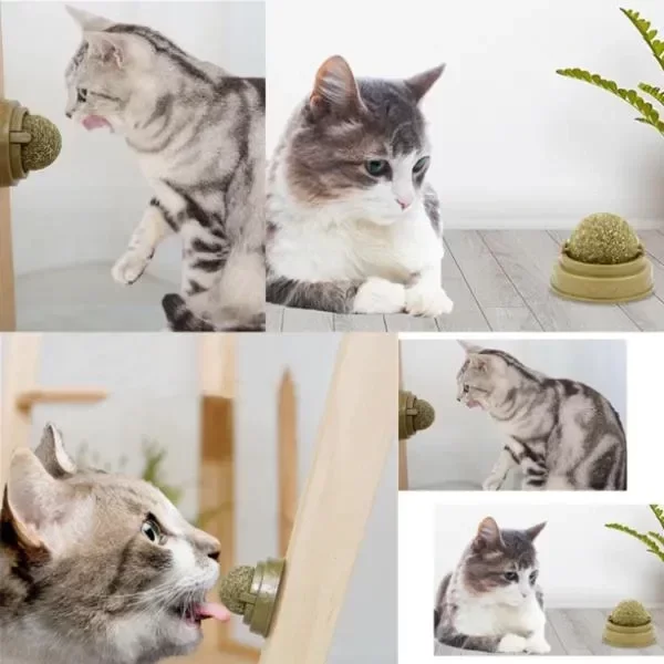Kedi Nanesi Oyun Topu - Görsel 2