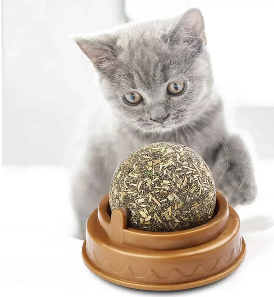 Kedi Nanesi Oyun Topu - Görsel 4