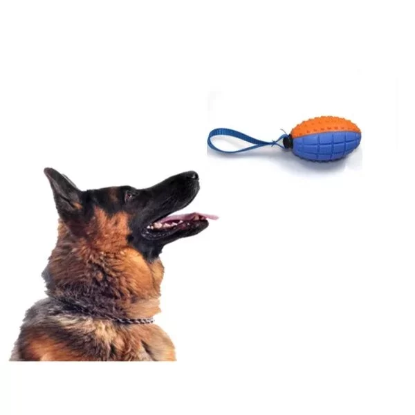 Köpek Diş Kaşıma Oyun Topu - Görsel 2