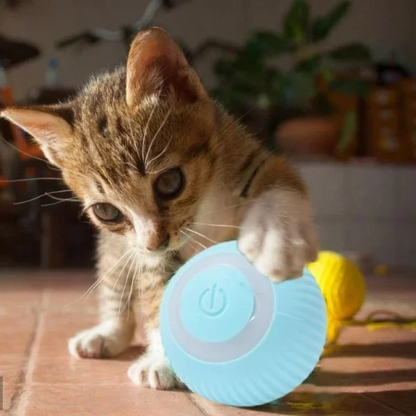 İnteraktif Kedi Köpek Şarjlı Oyun Topu - Görsel 3