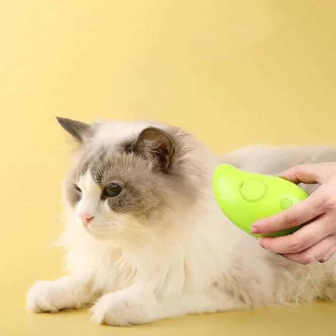 Buharlı Kedi Tarağı - Görsel 2