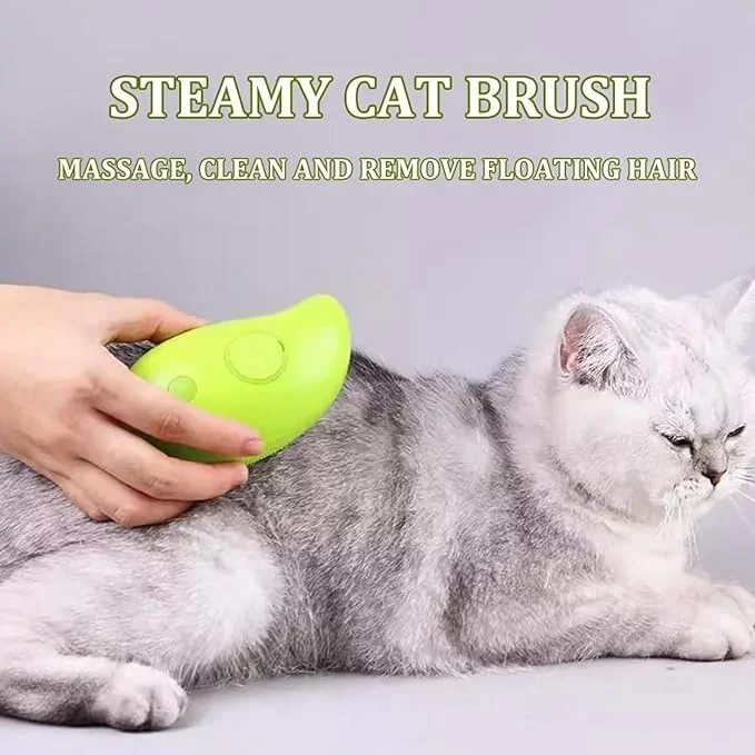 Buharlı Kedi Tarağı - Görsel 3