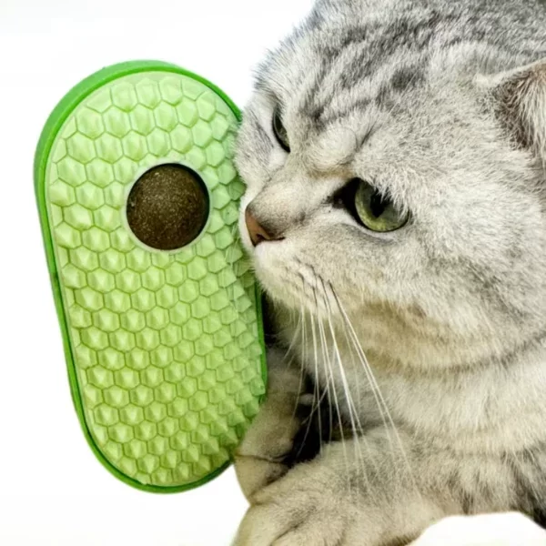 Silikon Kaşıyıcılı Kedi Otu - Görsel 2
