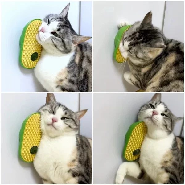 Silikon Kaşıyıcılı Kedi Otu - Görsel 4