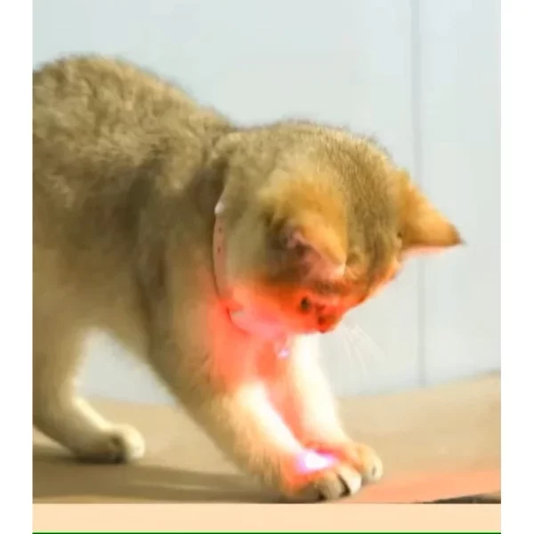 Otomatik Lazer Oyun Tasması - Görsel 3
