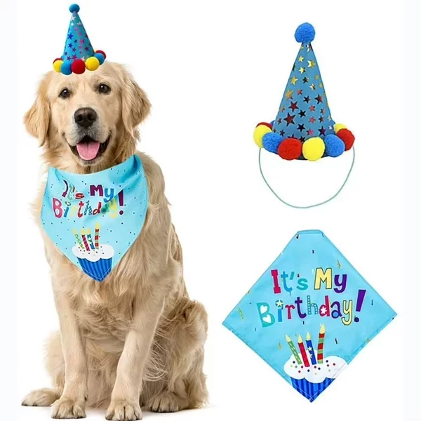 Köpekler İçin Doğum Günü Partisi Seti - Görsel 3