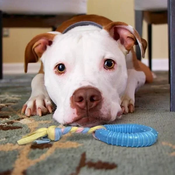 Dayanıklı Köpek Diş Kaşıyıcı Ve Çiğneme Oyuncağı - Görsel 4