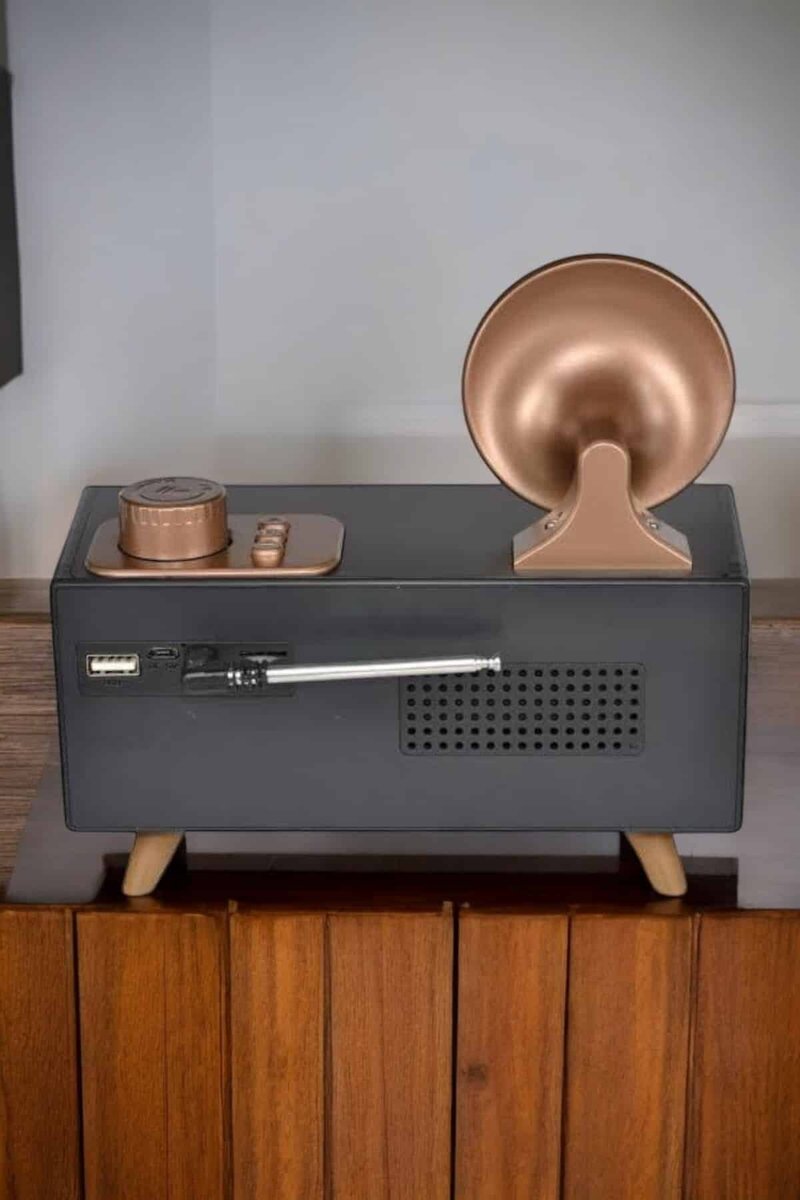Nostaljik Görünümlü Bluetooth Bağlantılı Speaker - Görsel 5