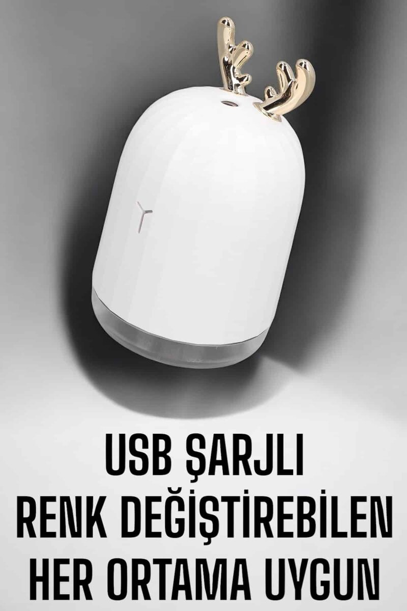Aromaterapi Hava Temizleyici Buhar Makinesi Taşınabilir Şarjlı - Görsel 2