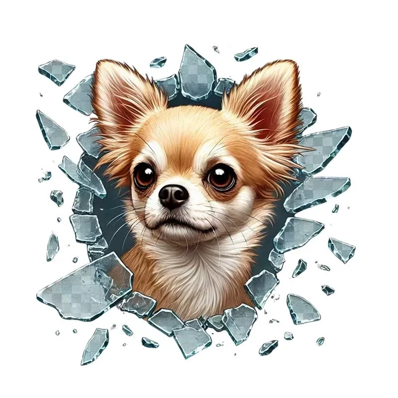 Fulcar Chiuahua Araç Stickerı - Görsel 2