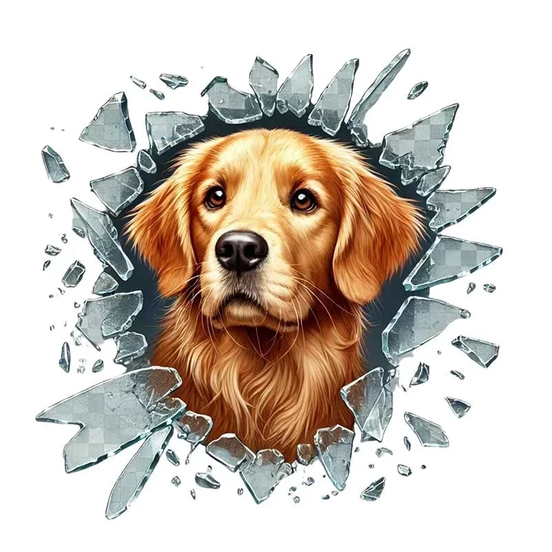 Fulcar Golden Araç Stickerı - Görsel 3