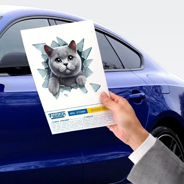 Fulcar Kedi Tasarımlı Araç Stickerı - Görsel 4