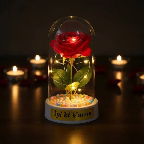 Renkli Toplu Ledli Gül Fanus - Görsel 5