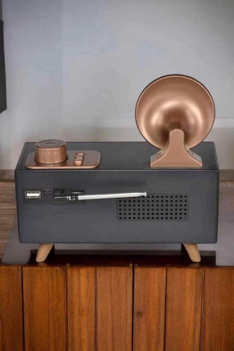 Nostaljik Görünümlü Bluetooth Bağlantılı Speaker - Görsel 5