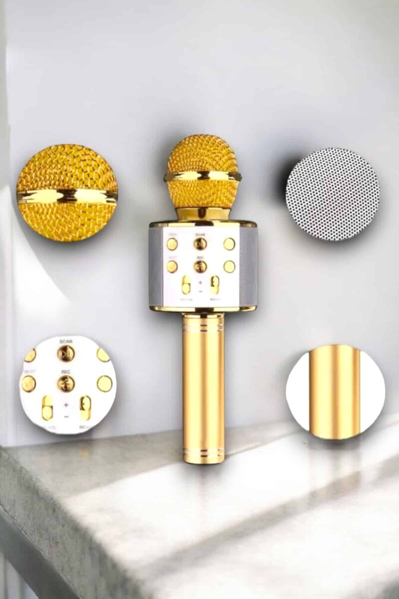 Taşınabilir Bluetooth Karaoke Mikrofon: Hafıza Kart Girişli Etkileyici Performans - Görsel 2