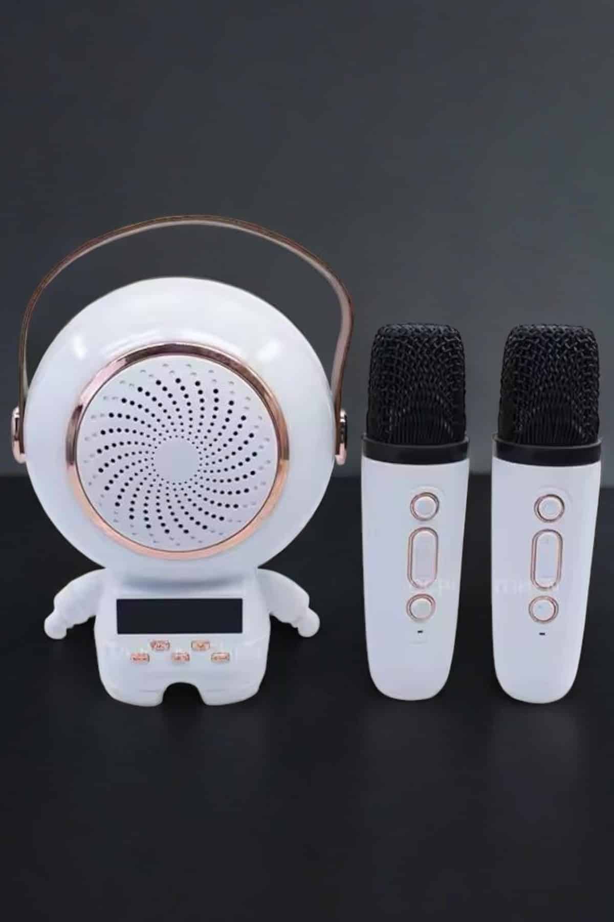 Çift Mikrofonlu Karaoke Mikrofon Bluetooth Bağlantılı Dijital Göstergeli - Görsel 3