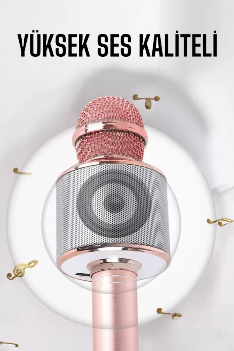 Taşınabilir Bluetooth Karaoke Mikrofon: Hafıza Kart Girişli, Etkileyici Performans - Görsel 4