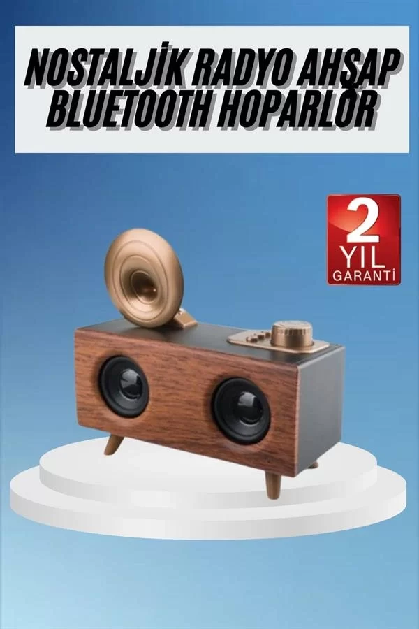 Gramafon Radyo Bluetooth Hoparlör Nostaljik Radyo FM Radyo - Görsel 2