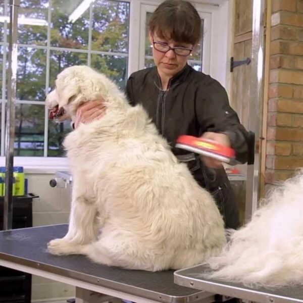 23 KG Üzeri Uzun Tüylü Köpekler İçin Tüy Toplayıcı Ergonomik Tarak (K0) - Görsel 2