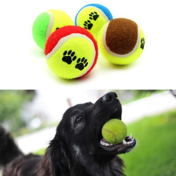 3&amp;apos;lü Renkli Desenli Tenis Topu Kedi Köpek Oyuncağı (K0) - Görsel 3