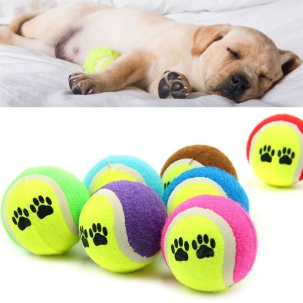 3&amp;apos;lü Renkli Desenli Tenis Topu Kedi Köpek Oyuncağı (K0) - Görsel 5