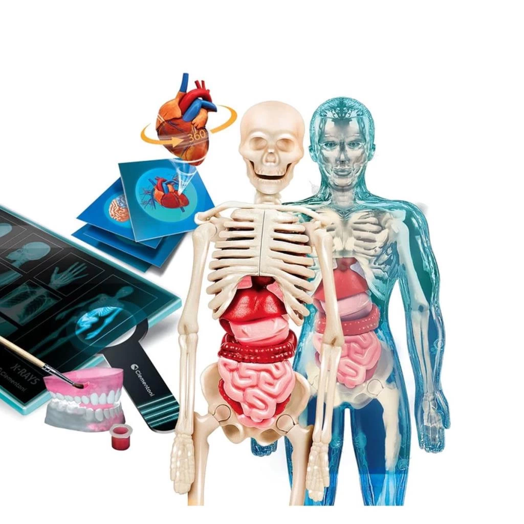 Çocuk 64474 Bilim ve Oyun - Süper Anatomi +8 yaş - Görsel 2