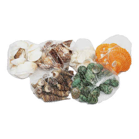 FİLELİ MİDYE DENİZ KABUK VAZO TAŞI RENKLİ MİX (4172)