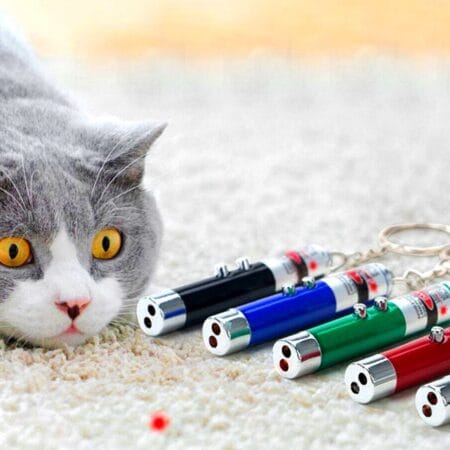 3 Fonksiyonlu Kırmızı Beyaz Işıklı Led Lazer Kedi Köpek Oyuncak Anahtarlık (4172)