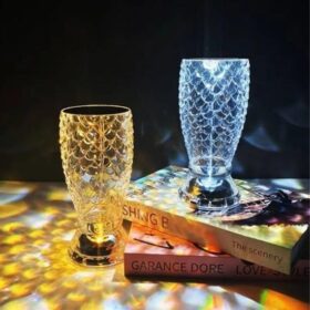 Balık Süzgeç Model USB Şarjlı Kumandalı 16Farklı Işık Modlu Masa Üstü Kristal Akrilik Led (4172)