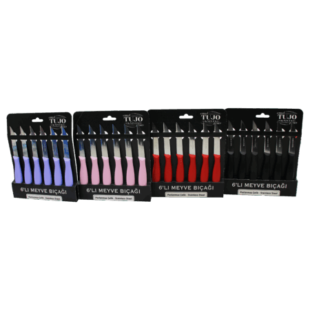 6 PARÇA  MEYVE BIÇAK RENKLİ PLASTİK SAPLI (4172)
