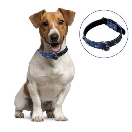 Yumuşak Dokulu Deri Köpek Gezdirme Boyun Tasması (Large) (4172)