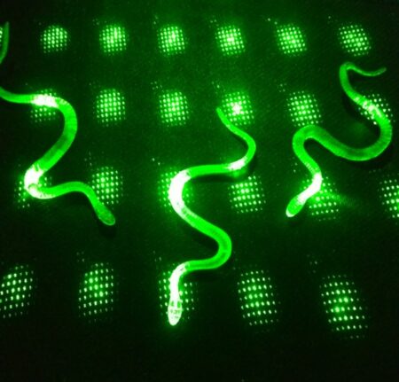 Şaka Yılan ve Kırkayak Karışık 36 Adet (4172)