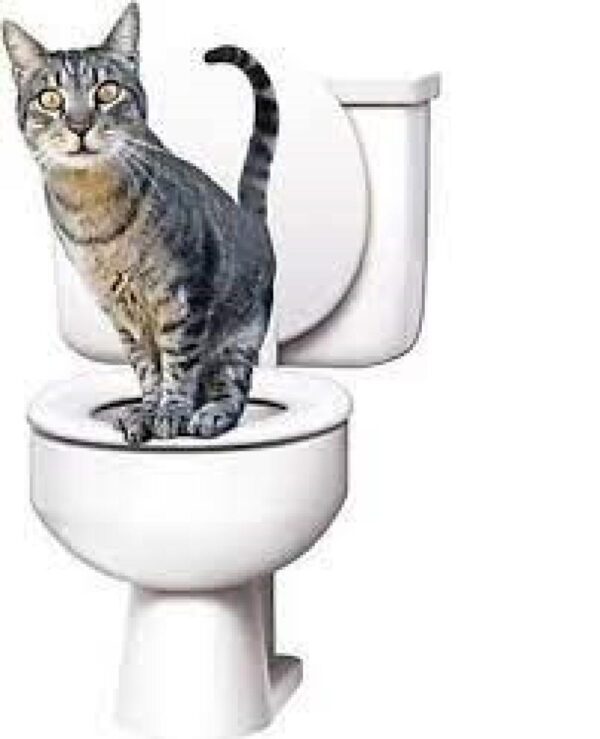 Citi Kitty Kedi Tuvaleti - Görsel 3