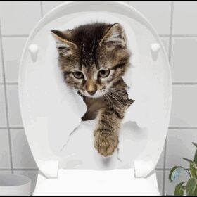 Decohandy Klozet Etiketi Stray Cat