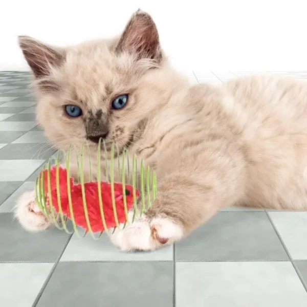 Yaylı Metal Fareli Kafes Kedi Oyun Topu Sıçrayan Spiral Kedi Topu (4172) - Görsel 4
