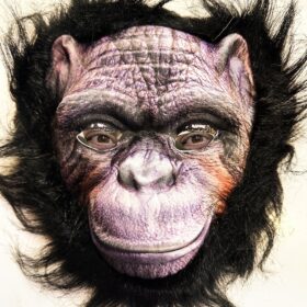 Siyah Saçlı Goril Maskesi Orangutan Maymun Maskesi Mega Peluş 36 No