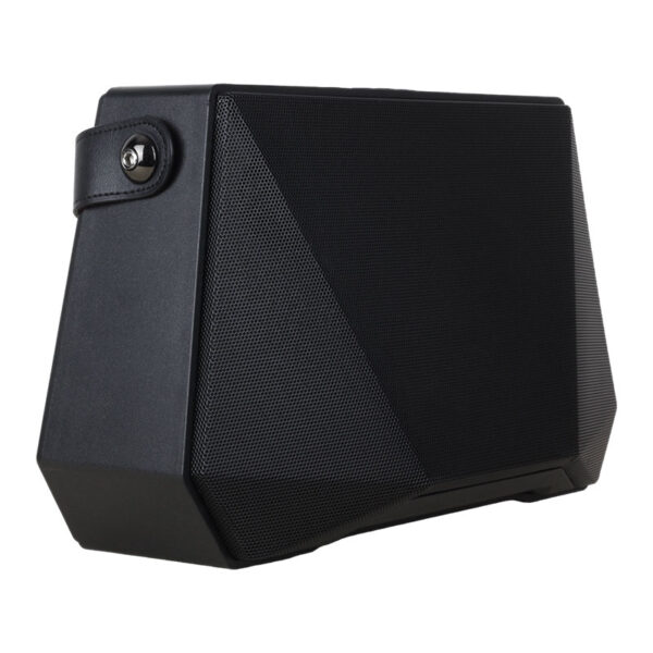 SHILE SL-2013 İKİ EL MİKROFONLU KUMANDALI USB+SD+BT SEYYAR PORTATİF HOPARLÖR - Görsel 2