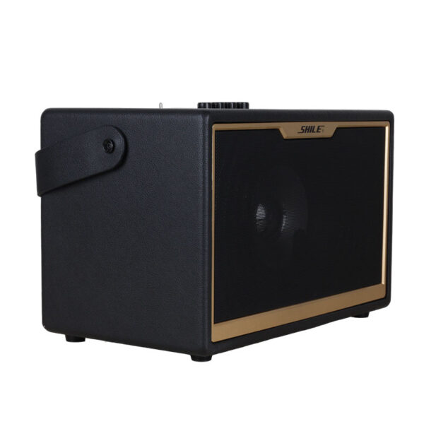 SHILE SD-1 EL MİKROFONLU KUMANDALI USB+SD+BT SEYYAR PORTATİF ANFİ - Görsel 2