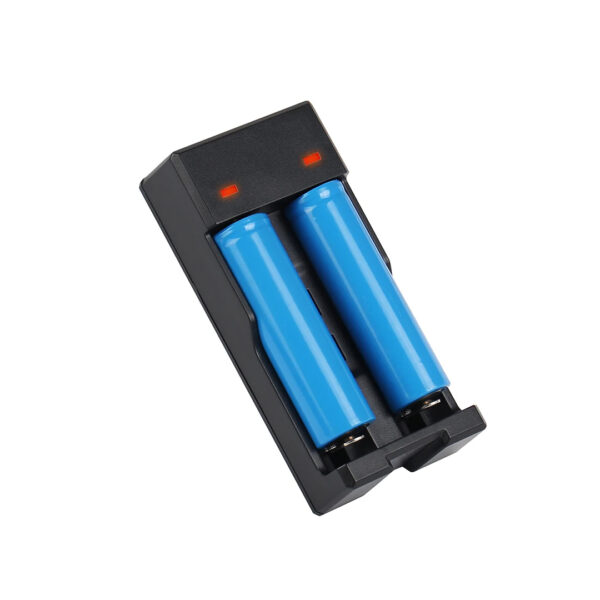 PMR-988 18650 4.2V 2X1200MA PİL ŞARJ CİHAZI - Görsel 3
