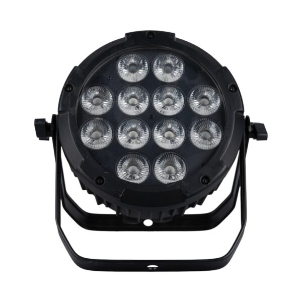 ALB12W 18 WATT 12 LED PAR SAHNE IŞIĞI