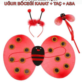 Uğur Böceği Kanat Seti Kanadı Tacı ve Asası Çocuk Boy