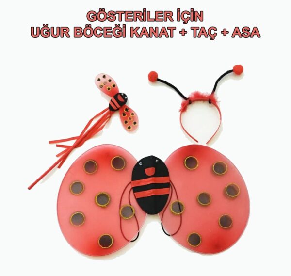 Uğur Böceği Kanat Seti Kanadı Tacı ve Asası Çocuk Boy - Görsel 3