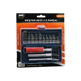 13 PCS  NEŞTER SETİ 13 FARKLI AÇI - ŞEKİLLİ UÇ   3 FARKLI KALINLIK - AĞIZLIKLI METAL SAP (4172)