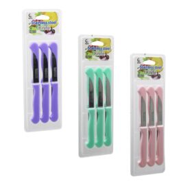 6PCS MEYVE BIÇAK  RENKLİ PLASTİK SAPLI   VAKUMLU AMBALAJ   BRKT-806155 (4172)