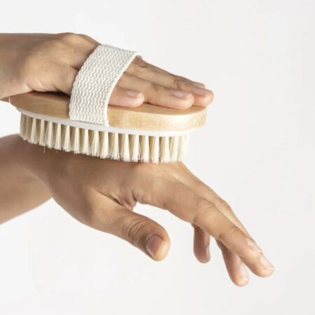 At Kılı Vücut Fırçası (4172)