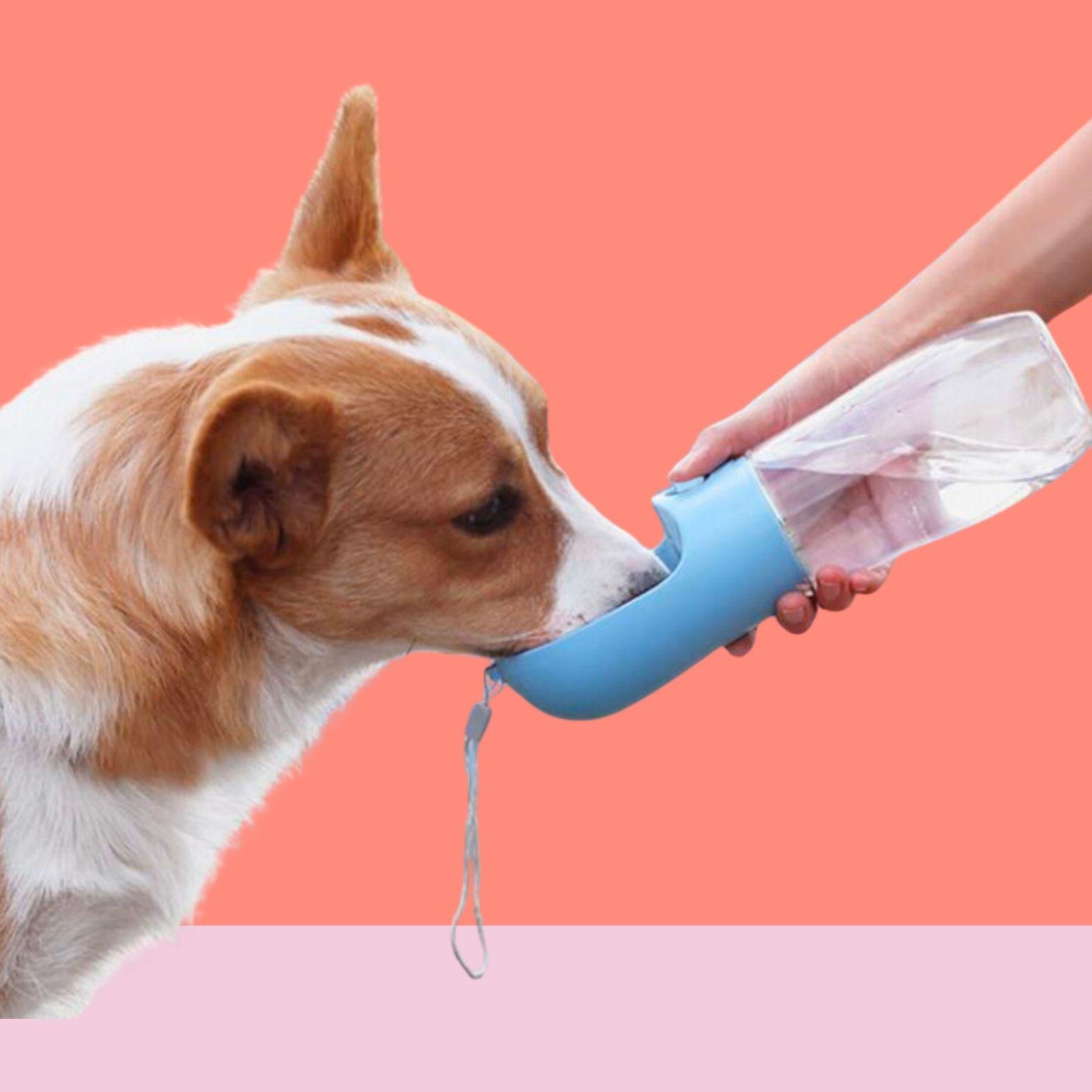 450 ml Taşınabilir Butonlu Evcil Hayvan Suluğu (4172) - Görsel 2