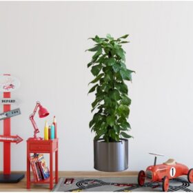 Saksılı Bitki Tasarımlı Yapışkanlı Sticker Resim 90*30 cm (4172)