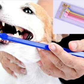 Çift Taraflı Hayvan Diş Fırçası 4 lü set (4172)